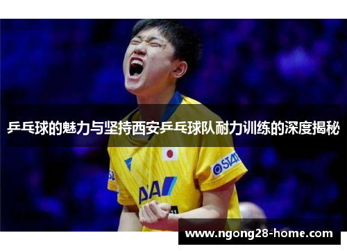 乒乓球的魅力与坚持西安乒乓球队耐力训练的深度揭秘