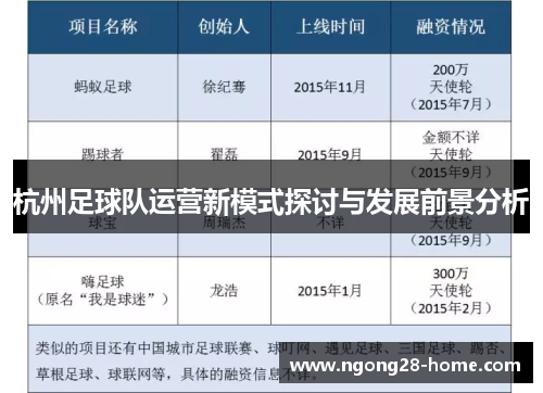 杭州足球队运营新模式探讨与发展前景分析